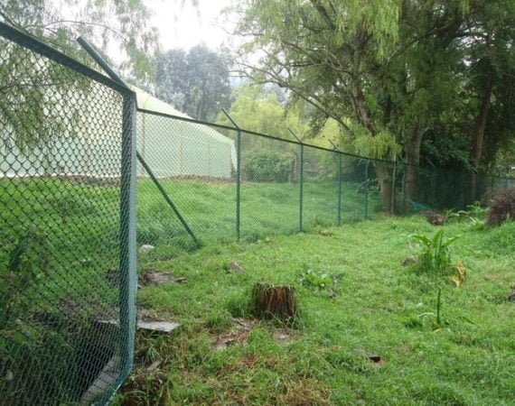 Fundacion niños de los andes (2)